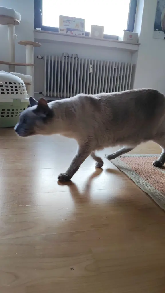 Direkt nach der Adoption. erstmal die Wohnung erkunden