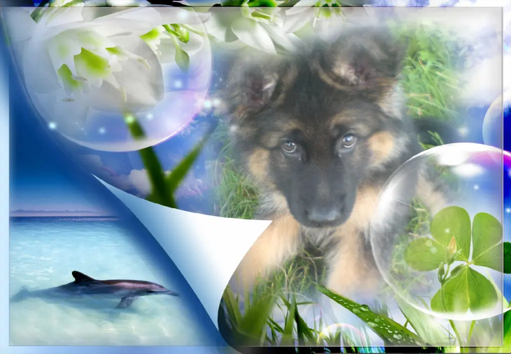 Condolence image of Mój Misiulek❤❤❤