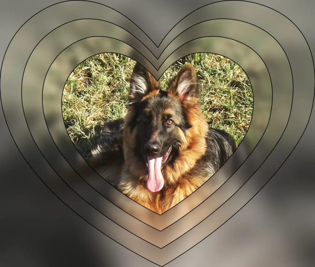 Condolence image of Mój Misiulek❤❤❤