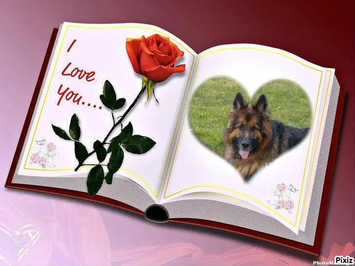 Condolence image of Kocham Cię❤❤❤