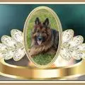 Condolence image of Mój Misiulek❤❤❤