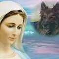 Condolence image of Mój Misiulek❤❤❤