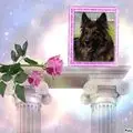 Condolence image of Kocham Cię❤❤❤
