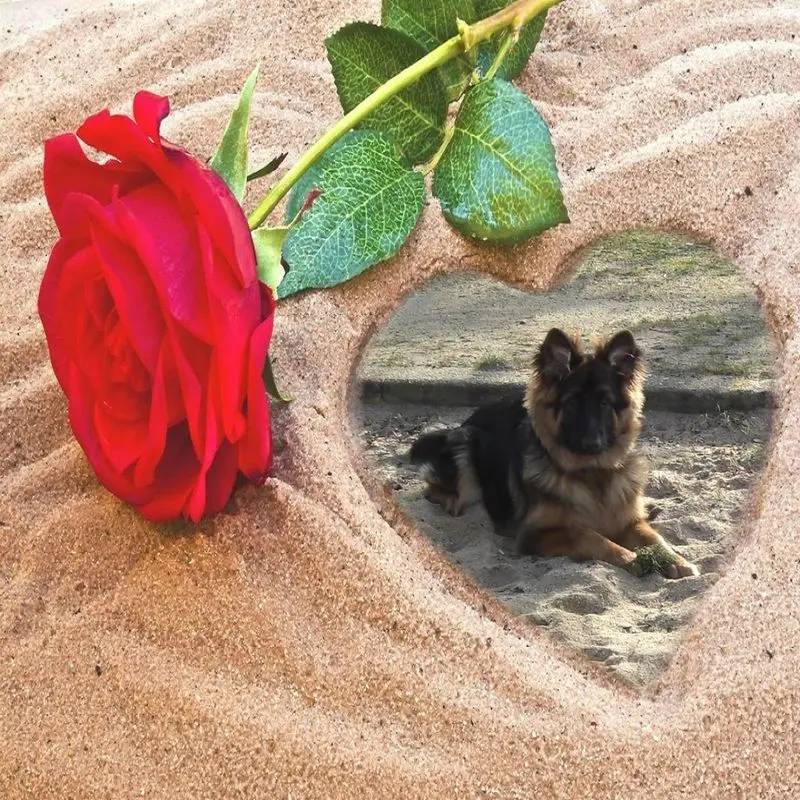 Condolence image of ❤️❤️❤️❤️❤️❤️❤️❤️❤️❤️❤️❤️❤️❤️