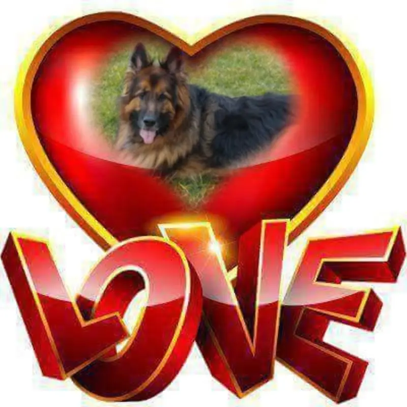 Condolence image of Mój Misiulek❤❤❤