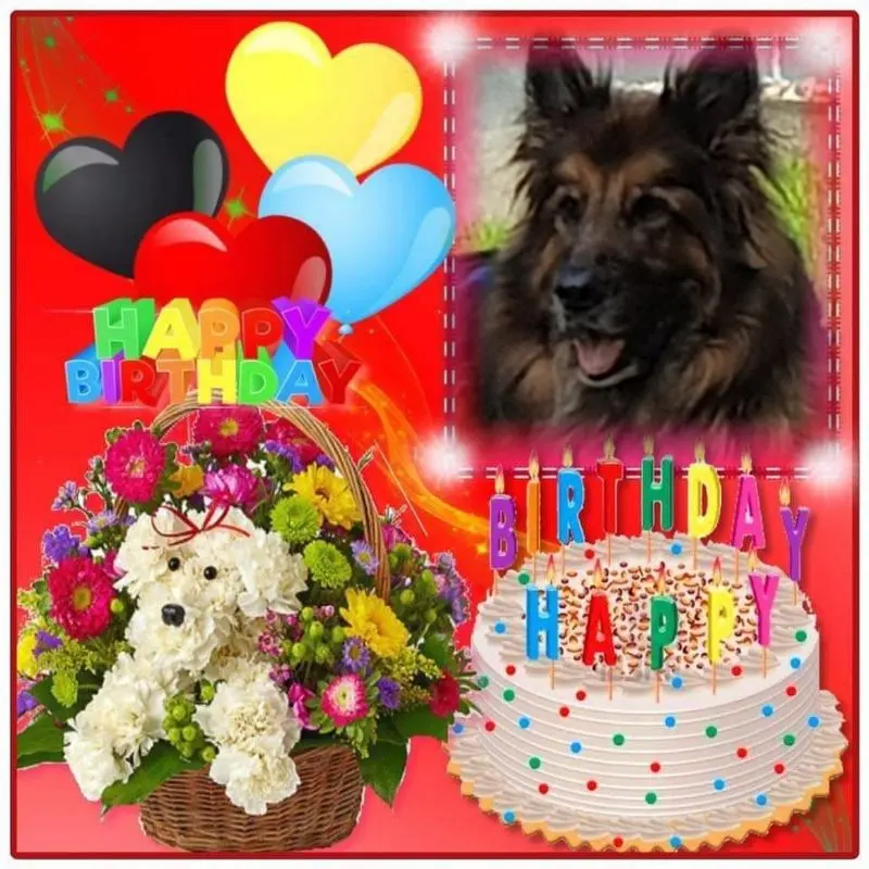 Condolence image of 14. Geburtstag❤️❤️❤️❤️❤️❤️❤️❤️❤️❤️❤️❤️❤️❤️