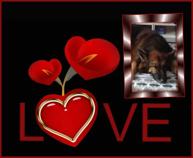 Condolence image of Dobrej Nocki❤️❤️❤️❤️❤️❤️mój Ukochany❤️❤️❤️❤️❤️❤️Misieńku❤️❤️❤️