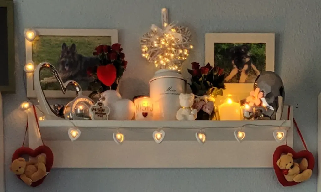 Condolence image of 4 Lata....BEZ CIEBIE❤️❤️❤️MISIEŃKU❤️❤️❤️