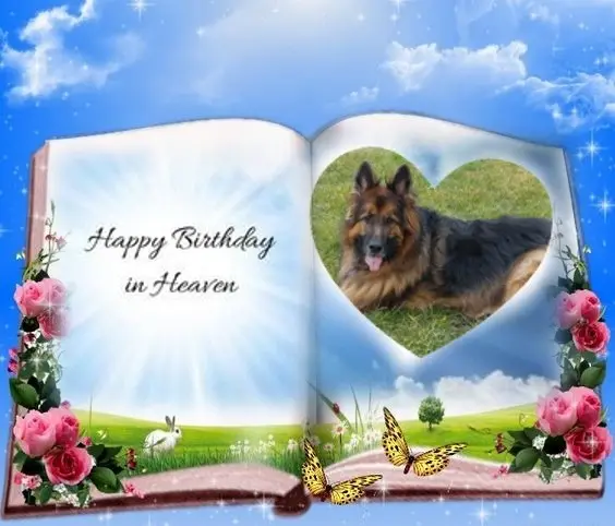 Condolence image of 15.Urodzinki❤️❤️❤️❤️❤️❤️❤️❤️❤️❤️❤️❤️❤️❤️❤️mojego Misia❤️❤️❤️