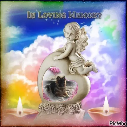 Condolence image of 6.Lat.....Bez Ciebie❤️❤️❤️⭐️mój UKOCHANY❤️❤️❤️❤️❤️❤️❤️❤️MISIEŃKU❤️❤️❤️⭐️