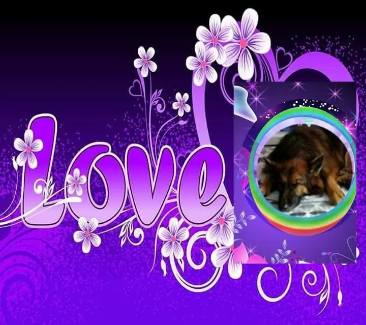 Condolence image of Dobrej Nocki❤️❤️❤️❤️❤️❤️mój Ukochany❤️❤️❤️❤️❤️❤️Misieńku❤️❤️❤️