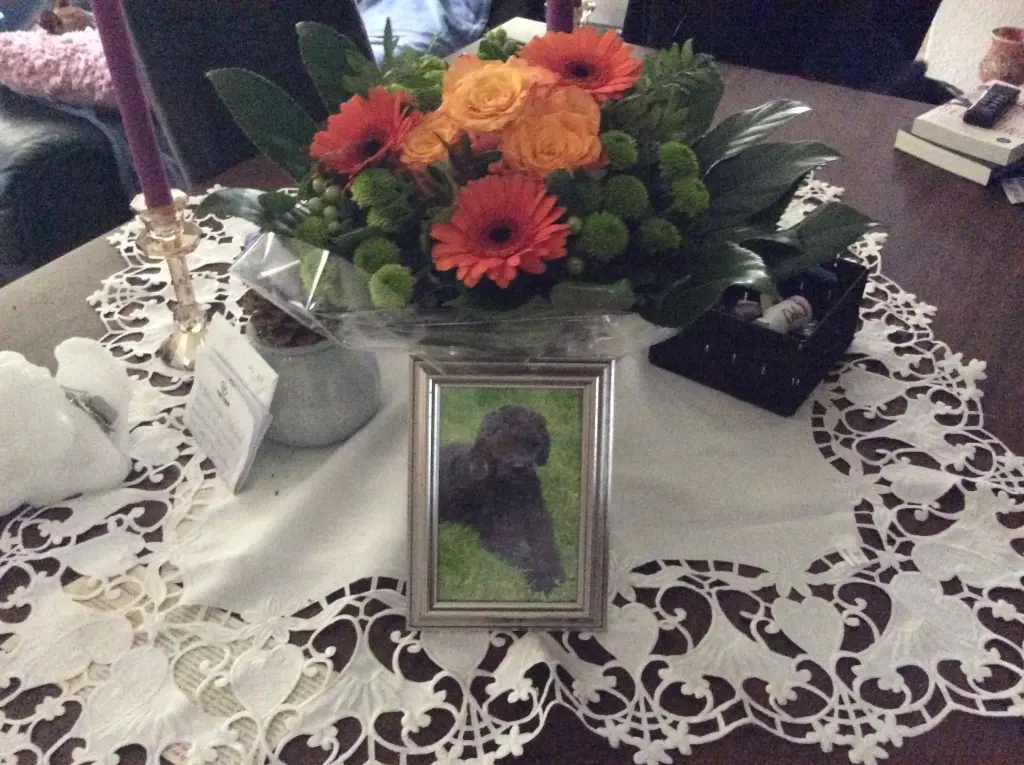 Condolence image of Heidi 