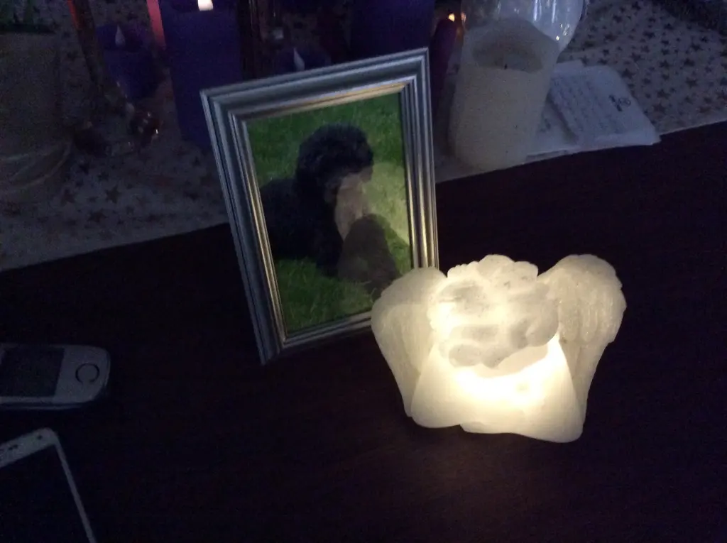 Condolence image of Heidi 