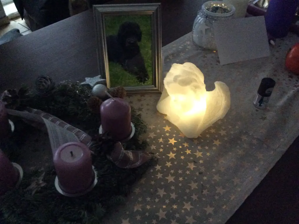Condolence image of Heidi 
