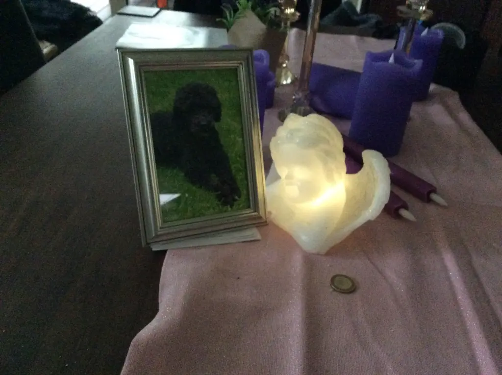 Condolence image of Heidi 