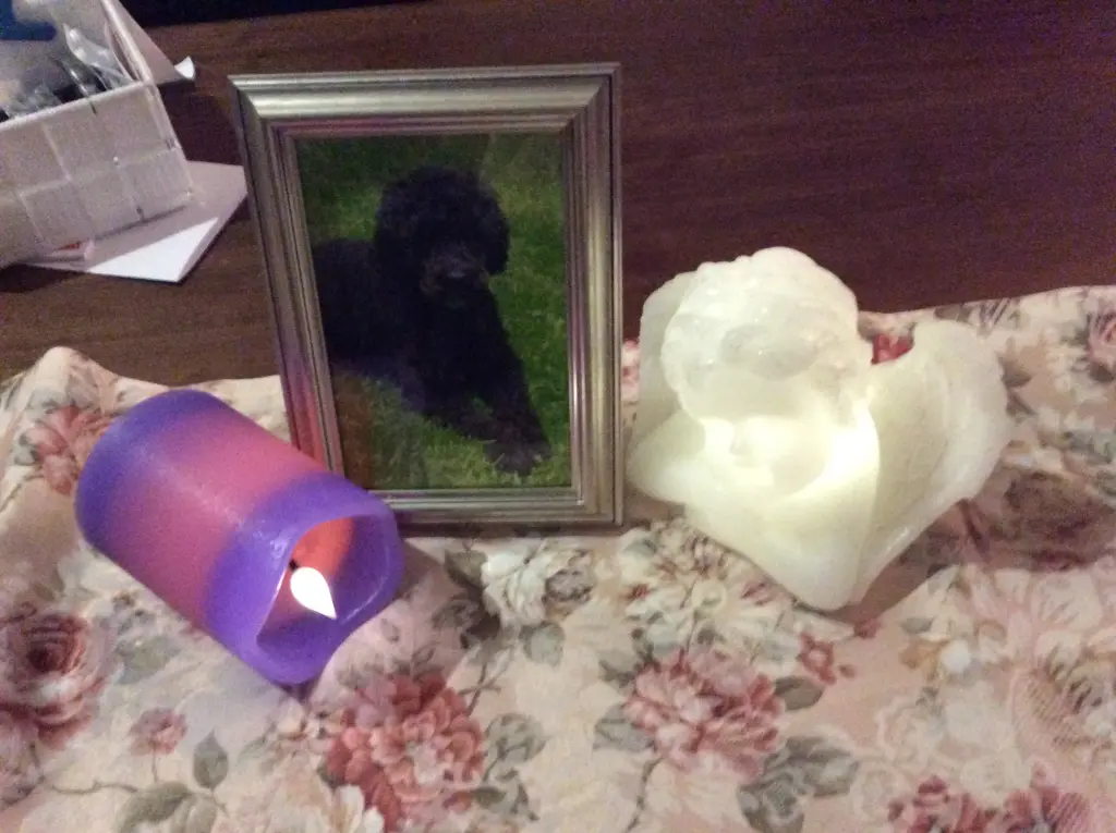 Condolence image of Heidi 