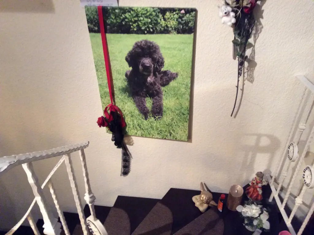 Condolence image of Heidi 