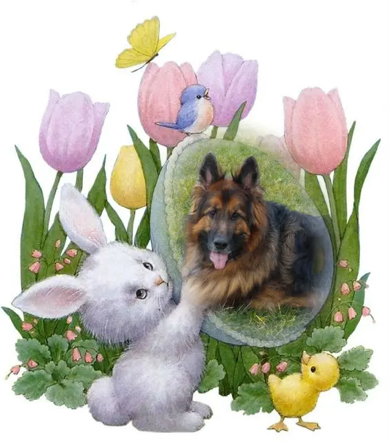Condolence image of Mój Misiulek❤❤❤