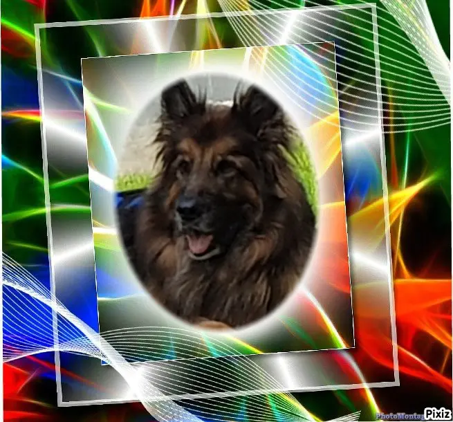 Condolence image of Mój Misiulek❤❤❤