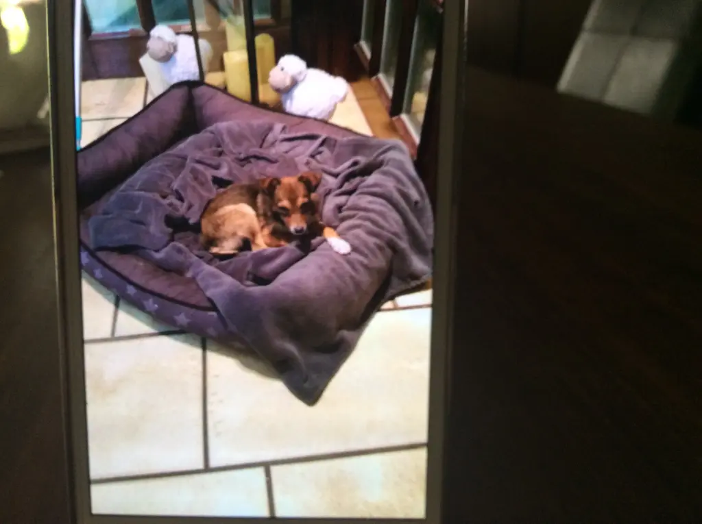 Condolence image of Heidi 