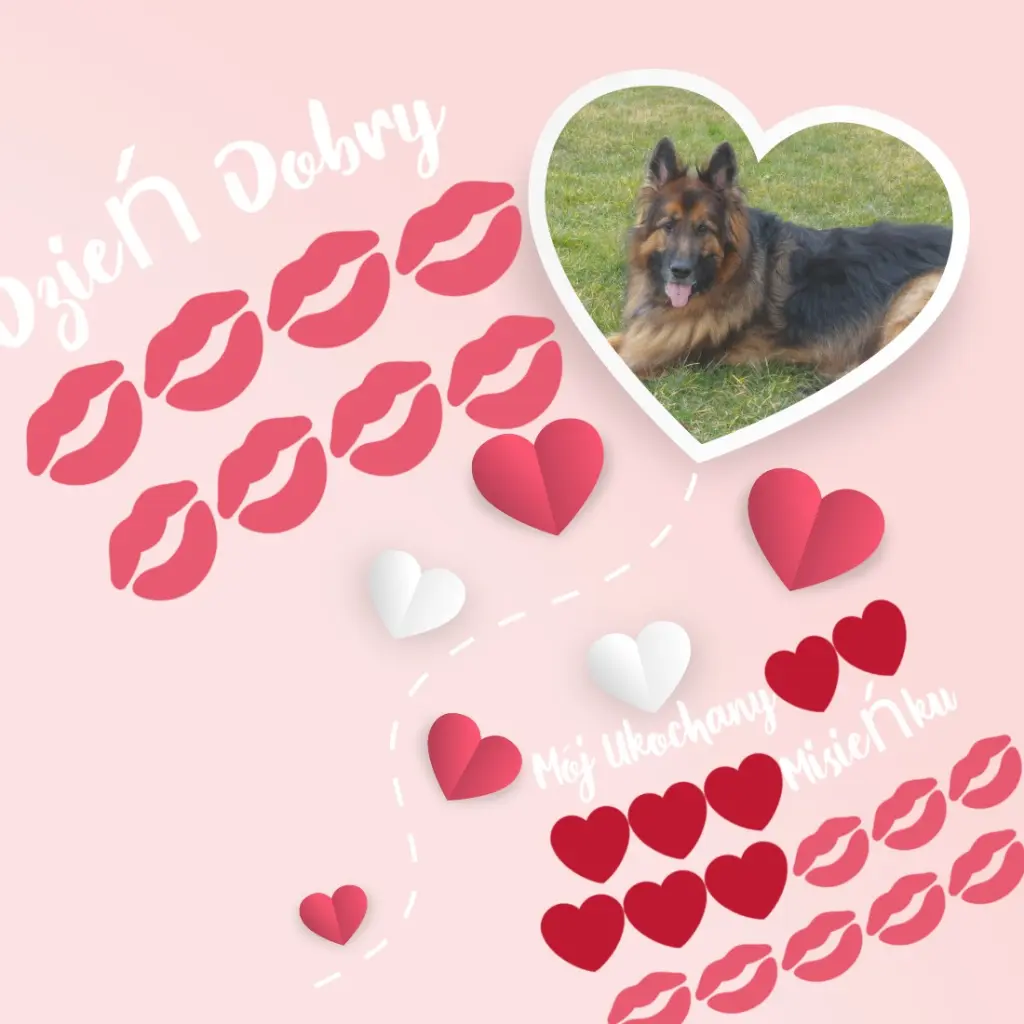 Condolence image of Dzień Dobry mój Ukochany❤️❤️❤️Misieńku❤️❤️❤️