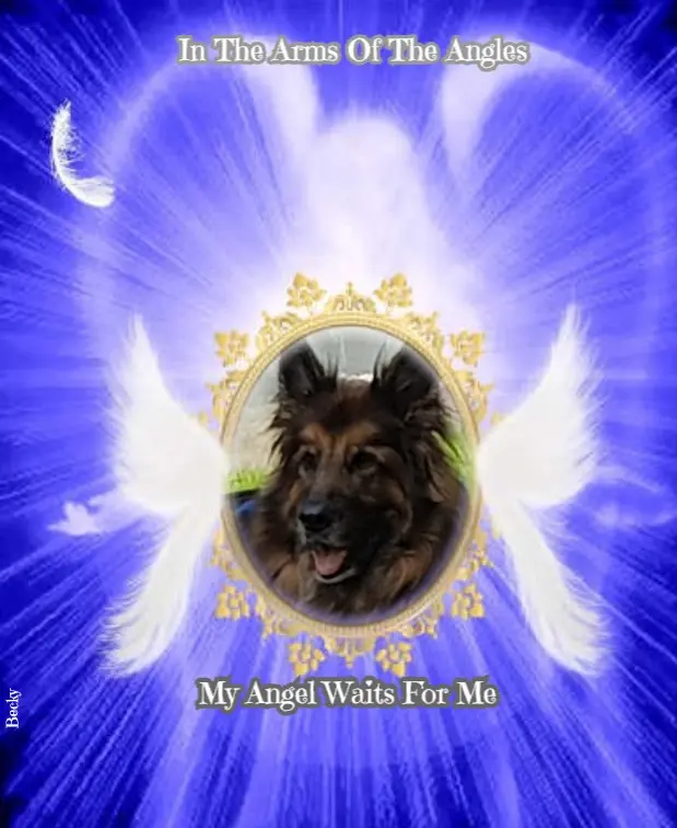 Condolence image of Dobrej Nocki Ukochany Misieńku❤️❤️❤️