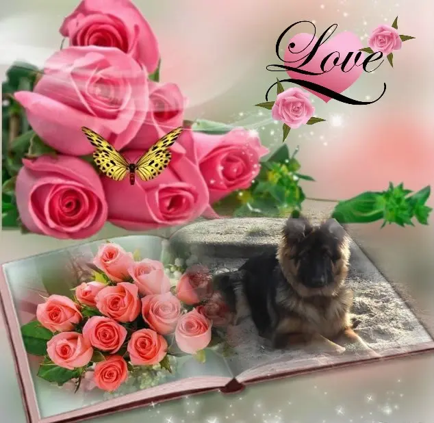 Condolence image of Dzień Dobry mój Ukochany❤️❤️❤️Misieńku❤️❤️❤️