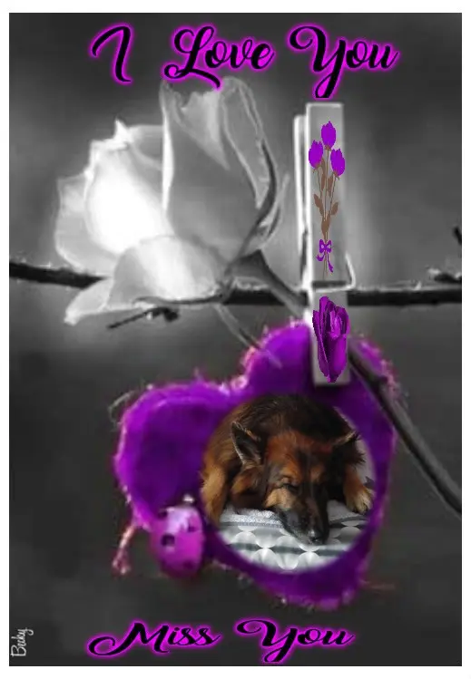 Condolence image of Dobrej Nocki Ukochany Misieńku❤️❤️❤️