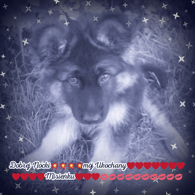Condolence image of Dobrej Nocki Ukochany Misieńku❤️❤️❤️