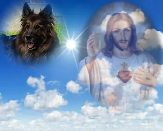 Condolence image of Kocham Cię❤❤❤