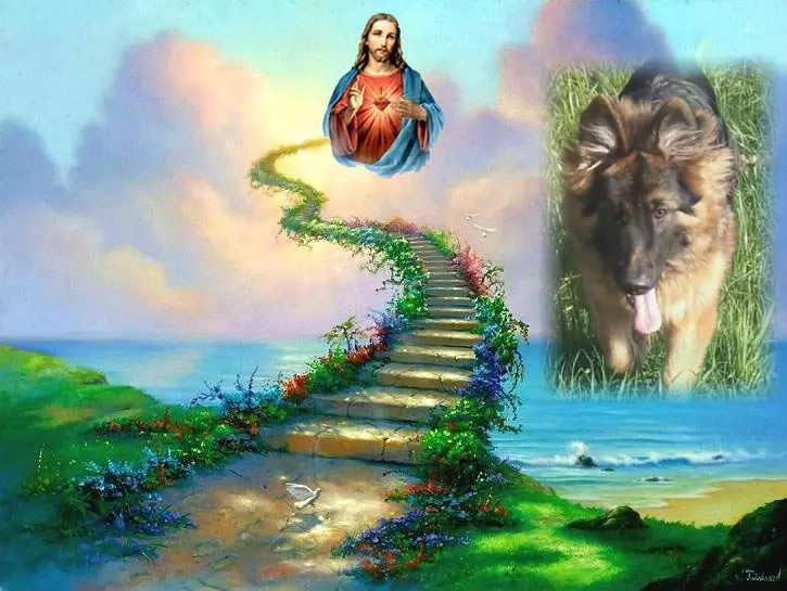 Condolence image of Kocham Cię❤️❤️❤️Misieńku❤️❤️❤️