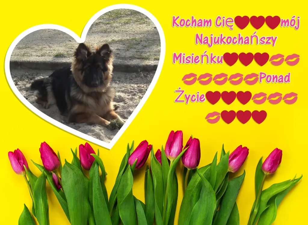 Condolence image of Dzień Dobry mój Ukochany❤️❤️❤️Misieńku❤️❤️❤️