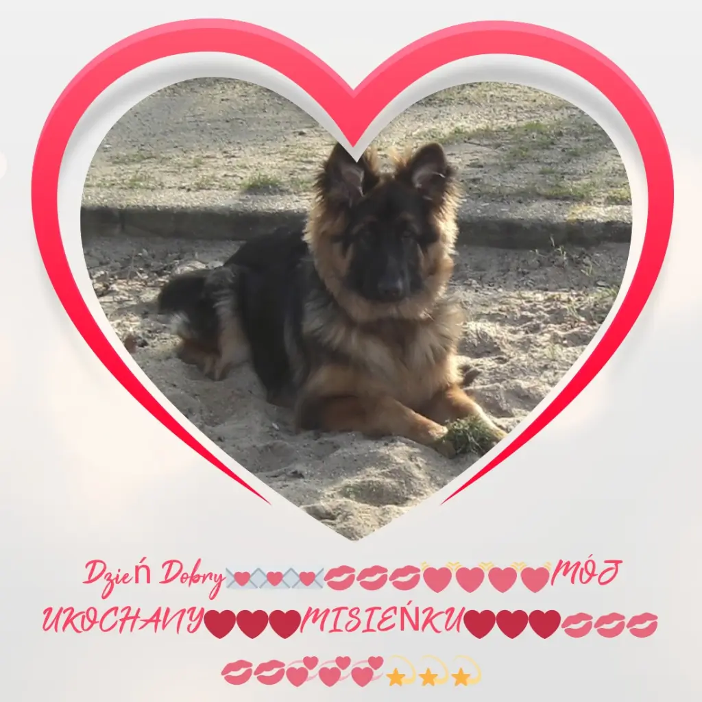 Condolence image of Dzień Dobry mój Ukochany❤️❤️❤️Misieńku❤️❤️❤️