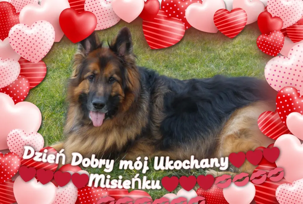 Condolence image of Dzień Dobry mój Ukochany❤️❤️❤️Misieńku❤️❤️❤️