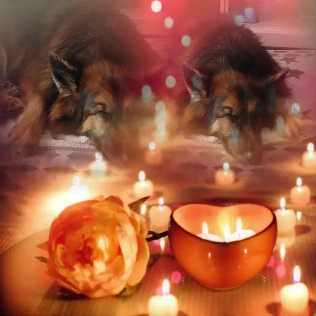 Condolence image of Dobrej Nocki Ukochany Misieńku❤️❤️❤️