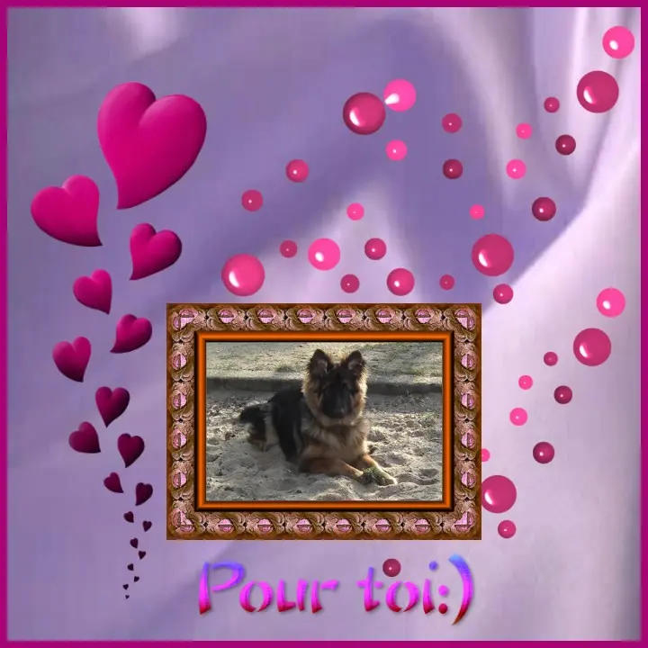Condolence image of Dzień Dobry mój Ukochany❤️❤️❤️Misieńku❤️❤️❤️