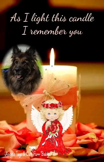 Condolence image of Dzień Dobry mój Ukochany❤️❤️❤️Misieńku❤️❤️❤️