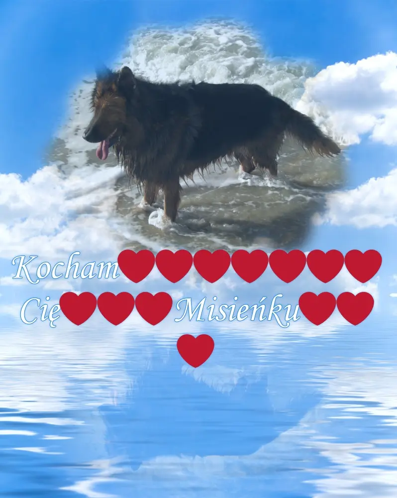 Condolence image of Dzień Dobry mój Ukochany❤️❤️❤️Misieńku❤️❤️❤️