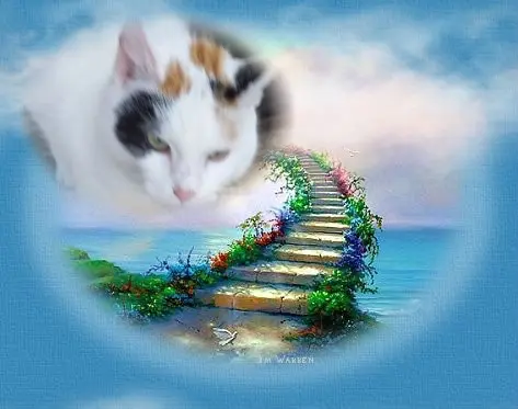 Condolence image of Fur ❤️Fleckchen❤️