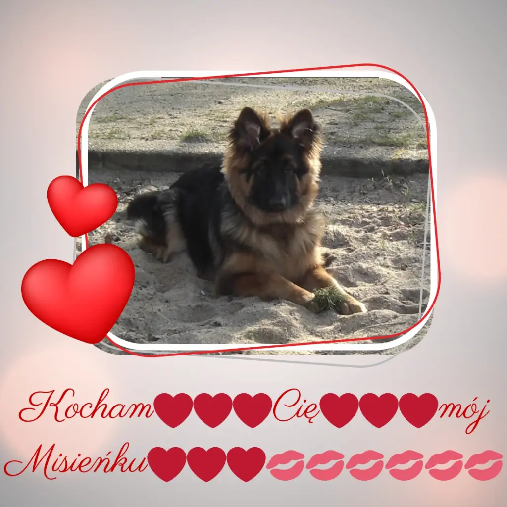 Condolence image of Dzień Dobry mój Ukochany❤️❤️❤️Misieńku❤️❤️❤️