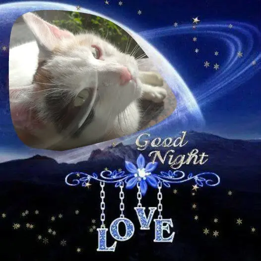 Condolence image of Fur❤️ Fleckchen❤️