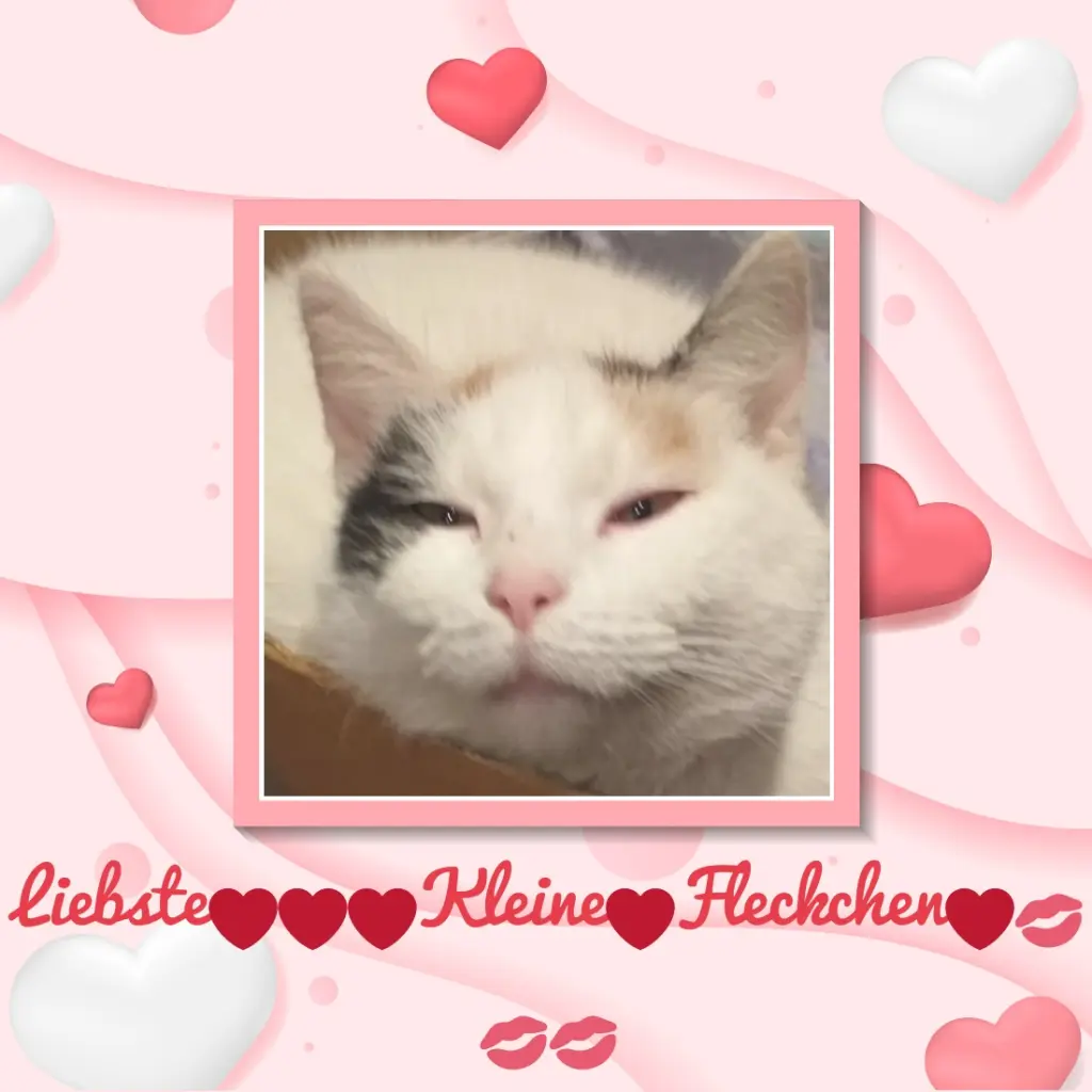 Condolence image of Fur❤️ Fleckchen❤️