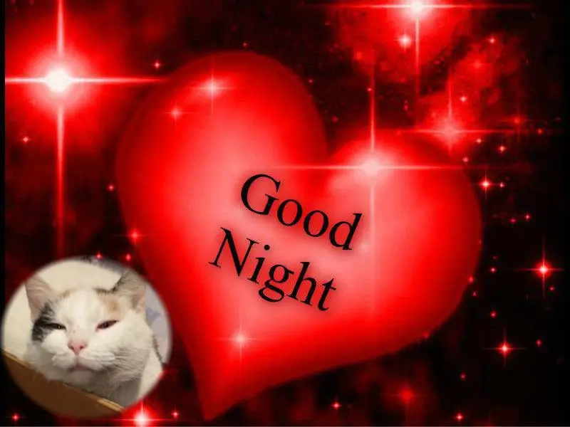 Condolence image of Fur❤️ Fleckchen❤️