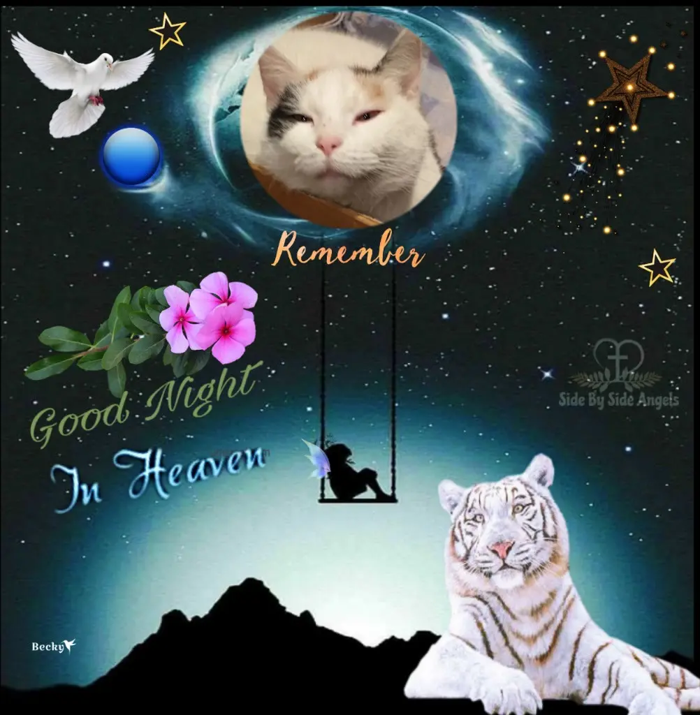 Condolence image of ❤️FLECKCHEN❤️