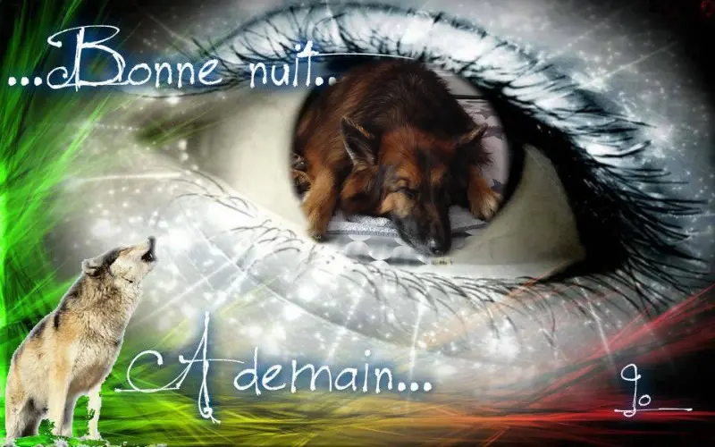 Condolence image of Dobrej Nocki Ukochany Misieńku❤️❤️❤️