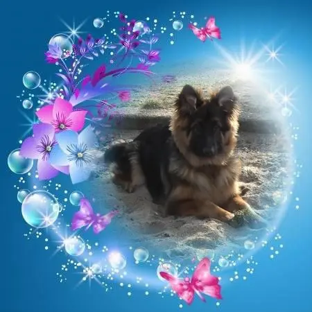 Condolence image of Dzień Dobry mój Ukochany❤️❤️❤️Misieńku❤️❤️❤️