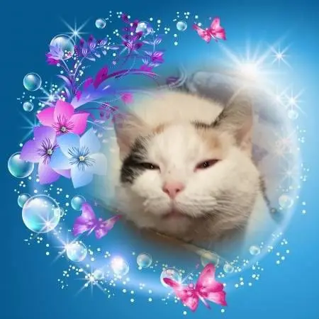 Condolence image of Fur❤️ Fleckchen❤️