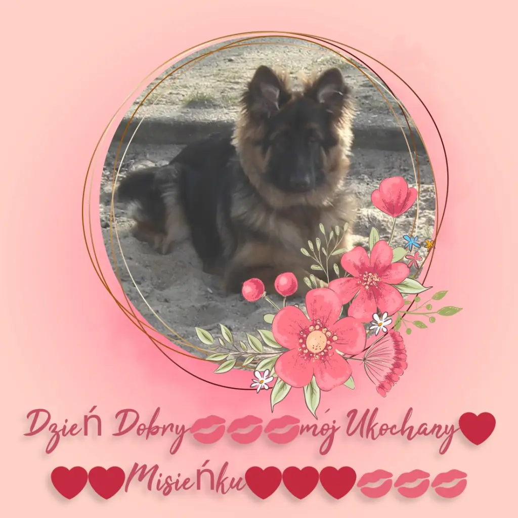 Condolence image of Dzień Dobry mój Ukochany❤️❤️❤️Misieńku❤️❤️❤️