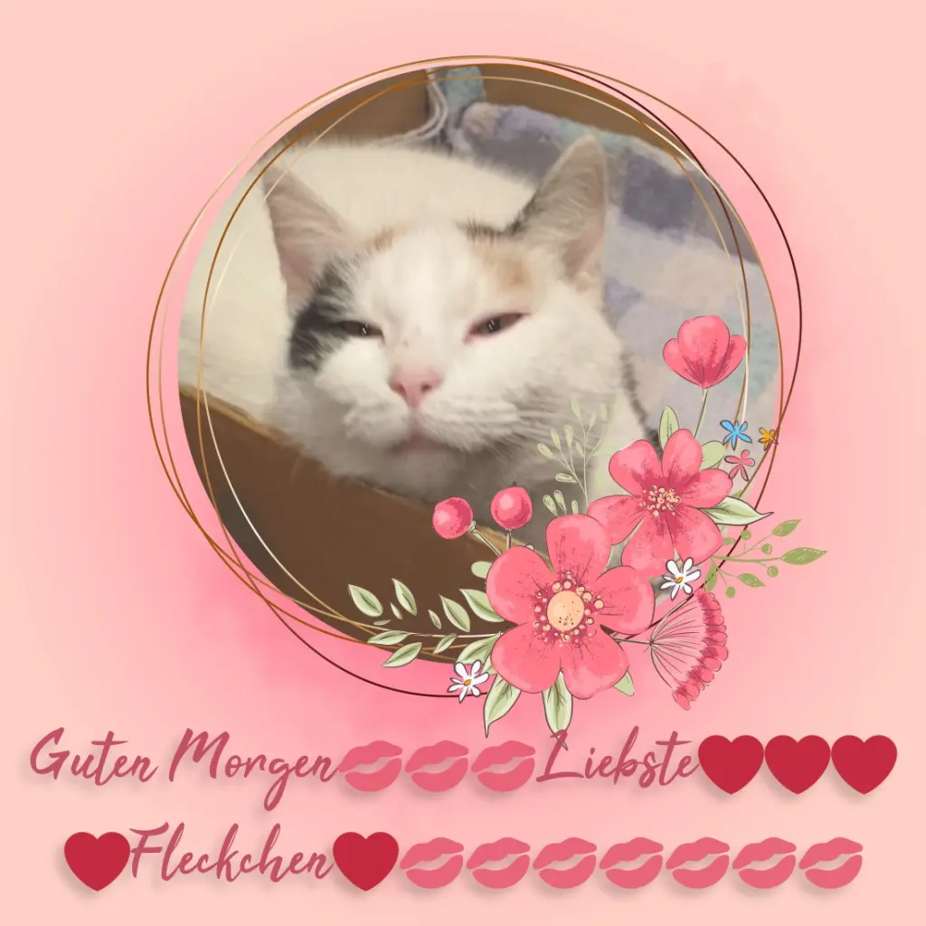 Condolence image of Fur❤️ Fleckchen❤️