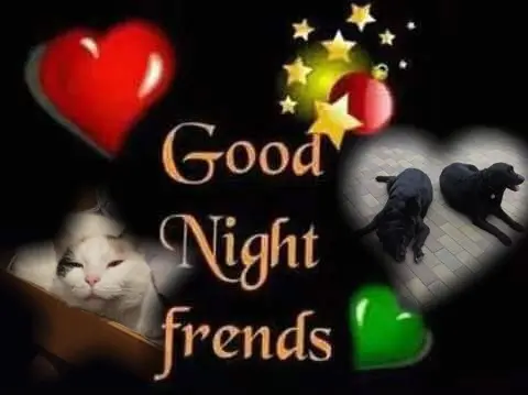 Condolence image of Fur❤️ Fleckchen❤️